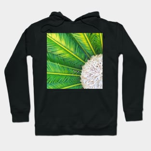 Tropical Palm Hoodie